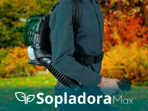 PARKSIDE Soplador de hojas a gasolina Motor 2 tiempos