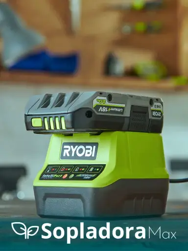 RYOBI sistema de baterias ONE+