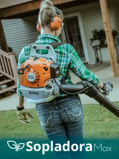 Stihl-BR-200